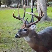 images/trail-camera-best/IMG_0083.jpg