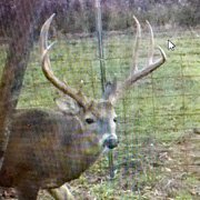 images/trail-camera-best/IMG_0313.jpg