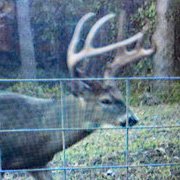 images/trail-camera-best/IMG_0691.jpg